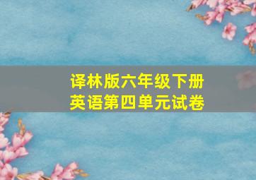 译林版六年级下册英语第四单元试卷