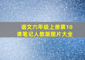 语文六年级上册第10课笔记人教版图片大全