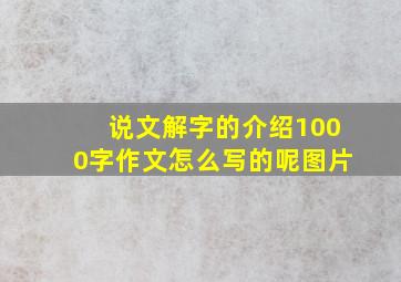 说文解字的介绍1000字作文怎么写的呢图片