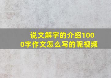 说文解字的介绍1000字作文怎么写的呢视频