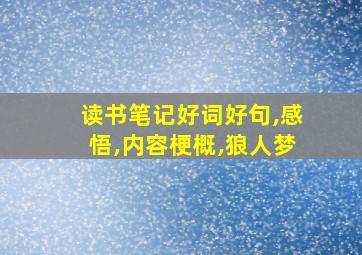 读书笔记好词好句,感悟,内容梗概,狼人梦