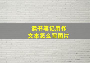 读书笔记用作文本怎么写图片