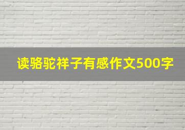 读骆驼祥子有感作文500字