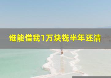 谁能借我1万块钱半年还清