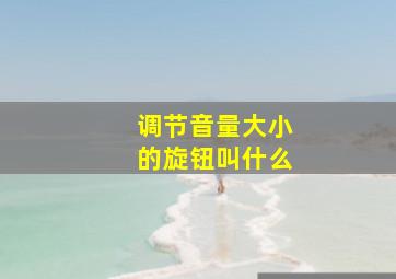 调节音量大小的旋钮叫什么