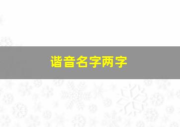 谐音名字两字