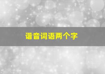 谐音词语两个字