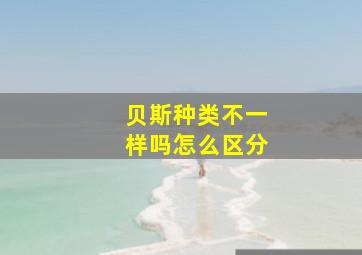 贝斯种类不一样吗怎么区分