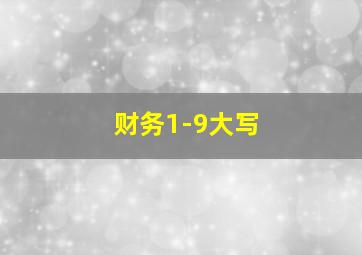 财务1-9大写