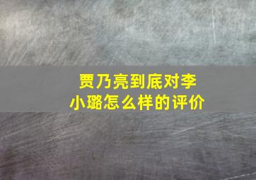 贾乃亮到底对李小璐怎么样的评价