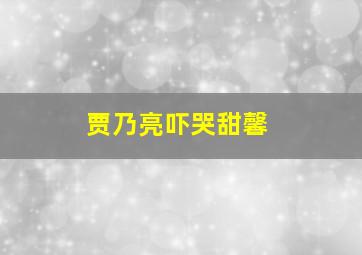 贾乃亮吓哭甜馨