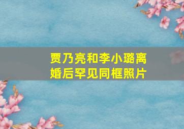 贾乃亮和李小璐离婚后罕见同框照片