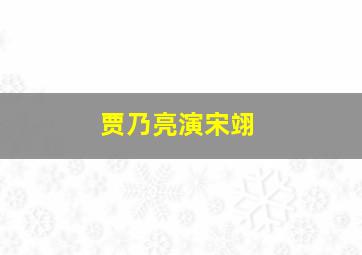 贾乃亮演宋翊