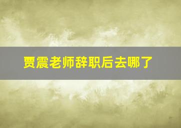 贾震老师辞职后去哪了