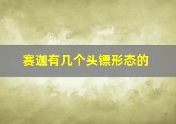 赛迦有几个头镖形态的