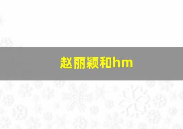 赵丽颖和hm