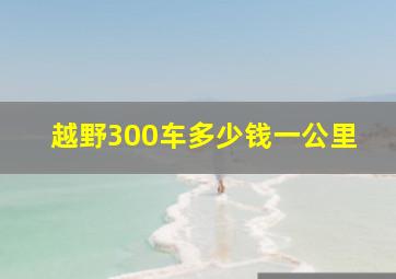 越野300车多少钱一公里