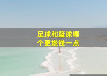 足球和篮球哪个更烧钱一点