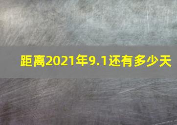 距离2021年9.1还有多少天