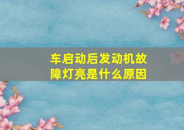 车启动后发动机故障灯亮是什么原因