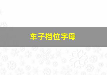 车子档位字母