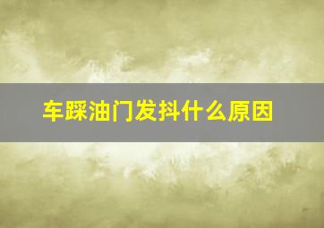 车踩油门发抖什么原因