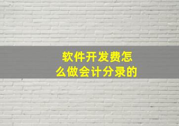 软件开发费怎么做会计分录的