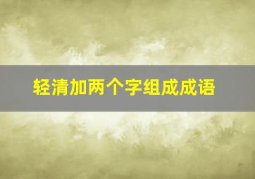 轻清加两个字组成成语