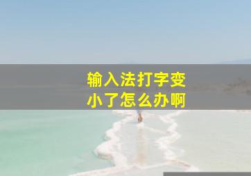 输入法打字变小了怎么办啊