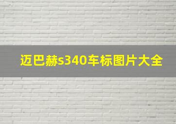 迈巴赫s340车标图片大全