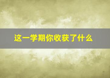 这一学期你收获了什么