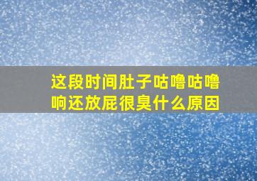 这段时间肚子咕噜咕噜响还放屁很臭什么原因