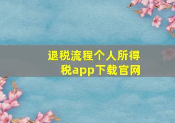 退税流程个人所得税app下载官网