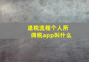 退税流程个人所得税app叫什么