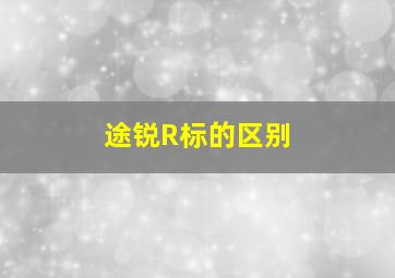 途锐R标的区别