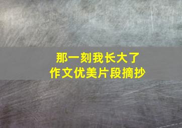 那一刻我长大了作文优美片段摘抄