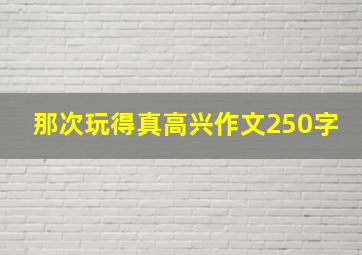 那次玩得真高兴作文250字