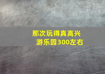 那次玩得真高兴游乐园300左右