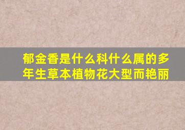 郁金香是什么科什么属的多年生草本植物花大型而艳丽