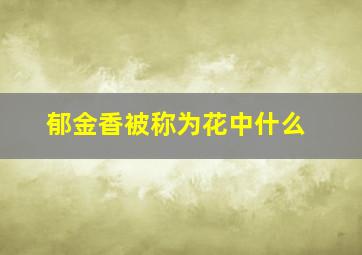 郁金香被称为花中什么