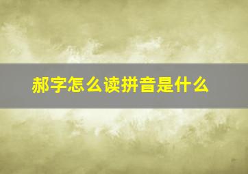 郝字怎么读拼音是什么