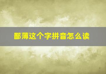 鄙薄这个字拼音怎么读