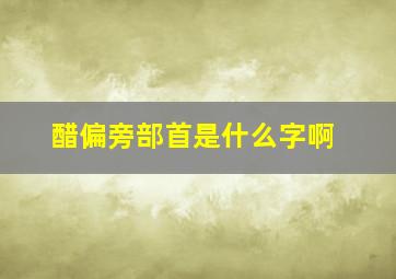 醋偏旁部首是什么字啊