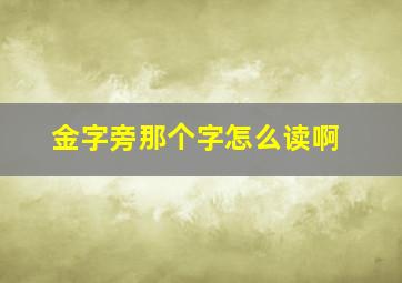 金字旁那个字怎么读啊