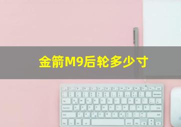 金箭M9后轮多少寸