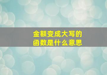 金额变成大写的函数是什么意思