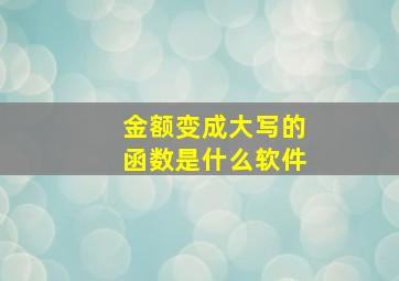 金额变成大写的函数是什么软件