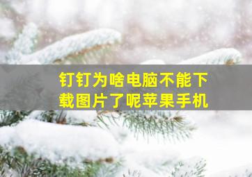 钉钉为啥电脑不能下载图片了呢苹果手机