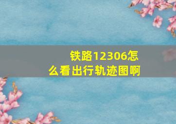 铁路12306怎么看出行轨迹图啊