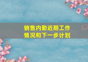 销售内勤近期工作情况和下一步计划